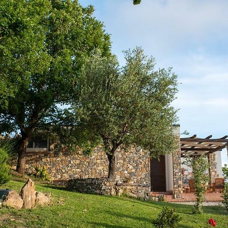 Villa Serra d'Elci Ascea Esterno foto
