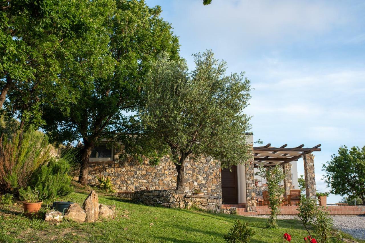 Villa Serra d'Elci Ascea Esterno foto